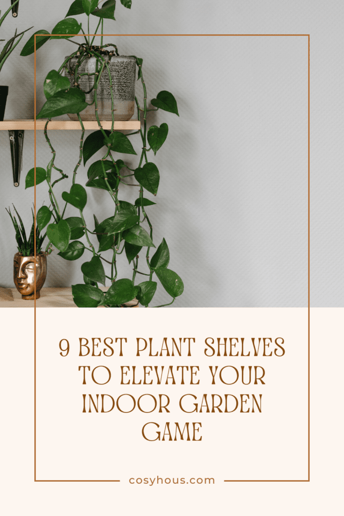 9 Best Plant Shelves to Elevate Your Indoor Garden Game