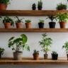9 Best Plant Shelves to Elevate Your Indoor Garden Game