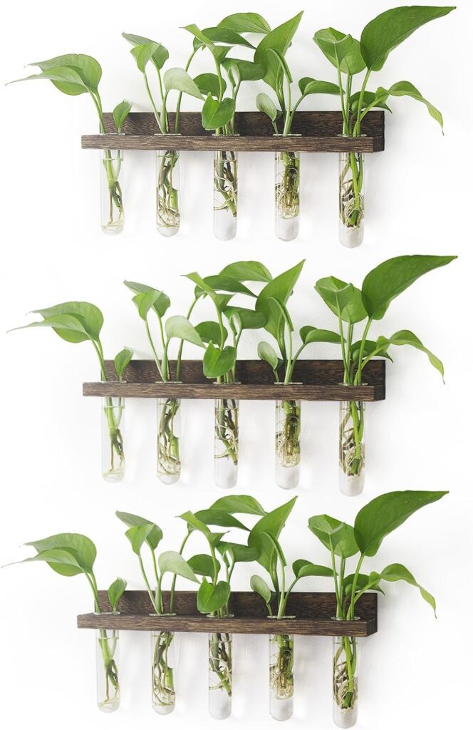 Renmxj Plant Propagation Station Tubes, 3 Tiered Wall Hanging Glass Test Tubes Vase Planter